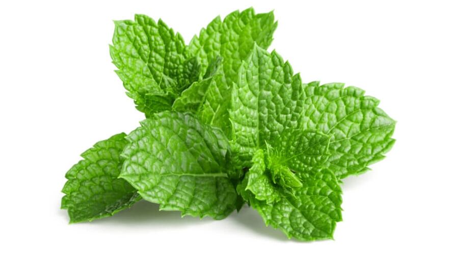 Menthol in Osteflex